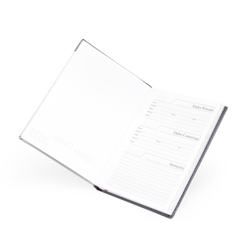 Agenda Diária 2025 Personalizada Diária