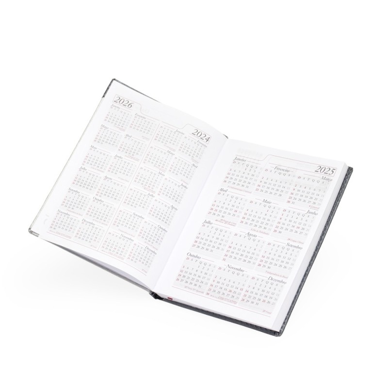 Agenda Diária 2025 Personalizada Diária