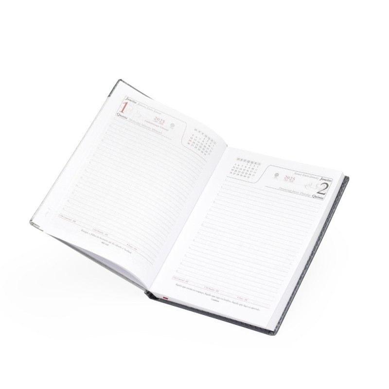 Agenda Diária 2025 Personalizada Diária