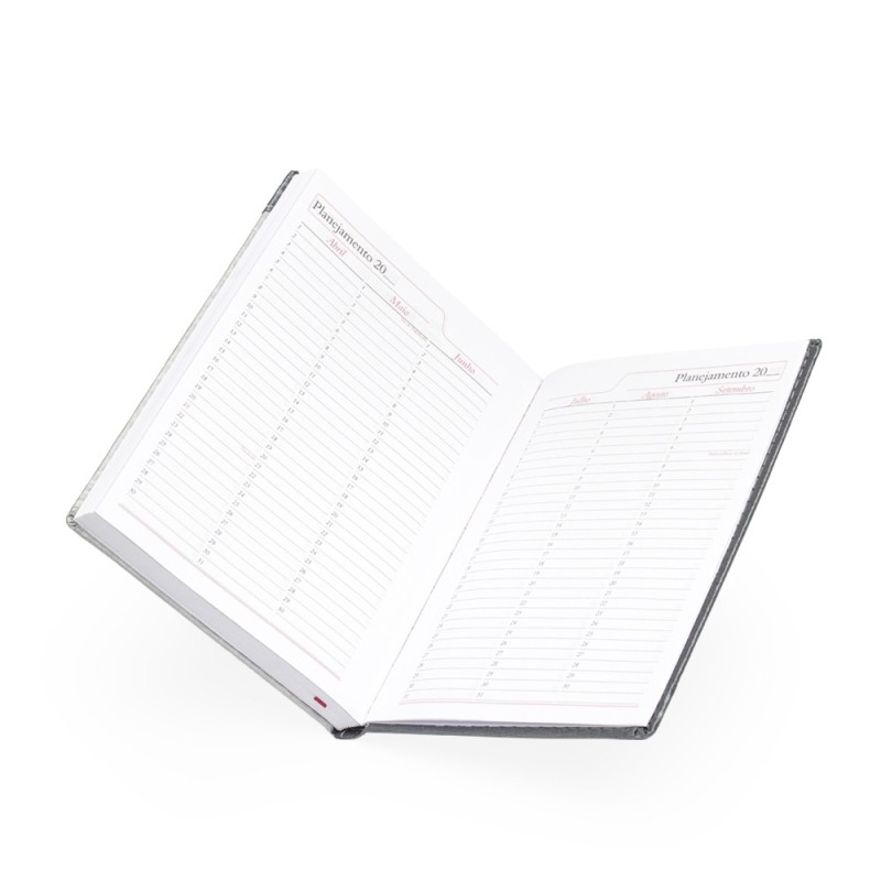 Agenda Diária 2025 Personalizada Diária