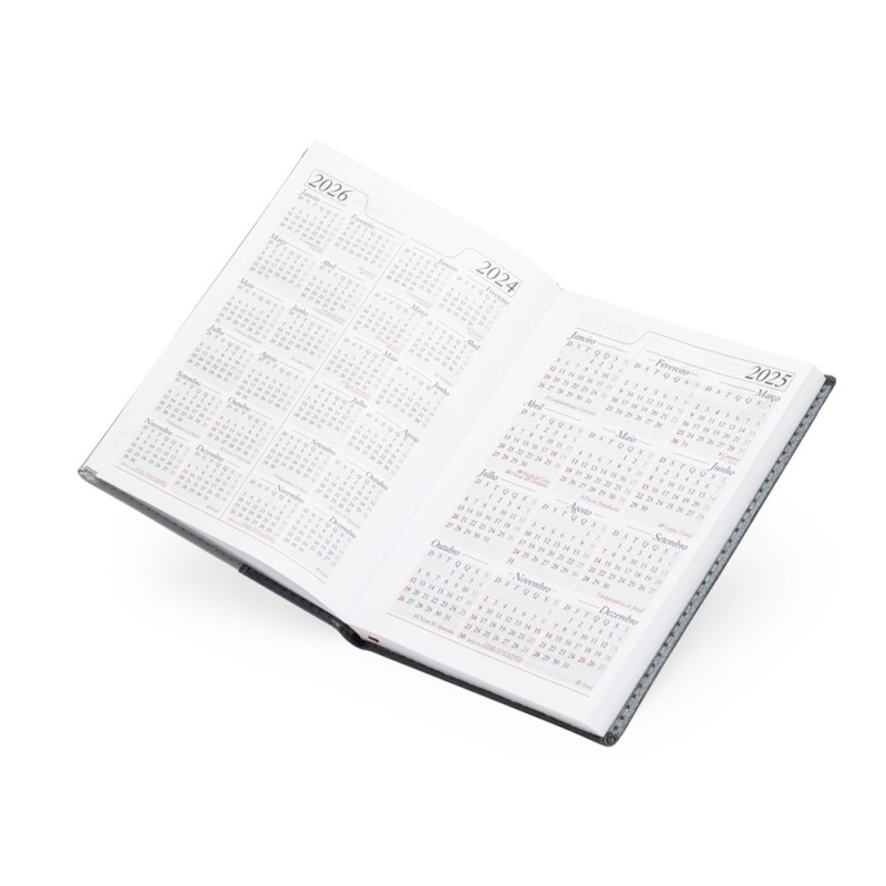 Agenda Diária 2025 Personalizada