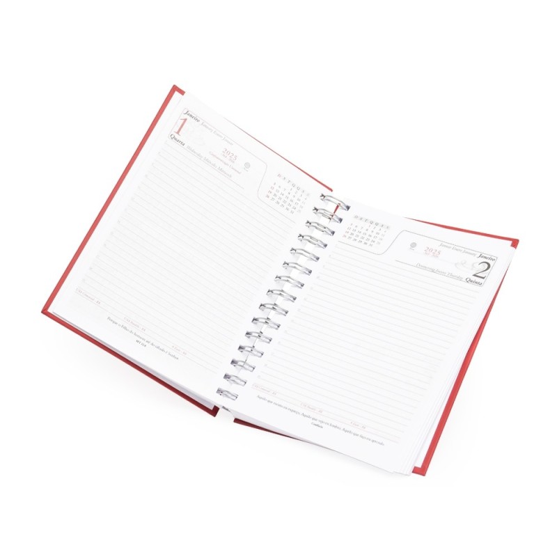 Agenda Diária 2025 Wire-o Personalizada