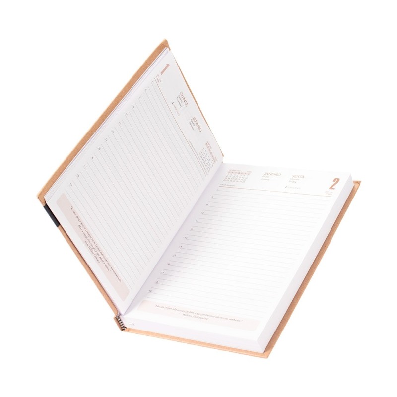 Agenda Diária 2026 Personalizada