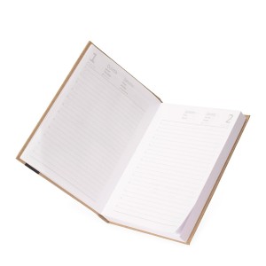 Agenda Diária 2026 Promocional